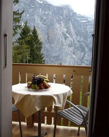 فندق Restaurant Jungfrau لوتربرونن