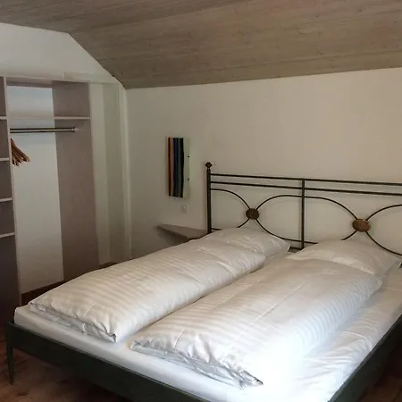 Hotel Restaurant Jungfrau Hotel 3*