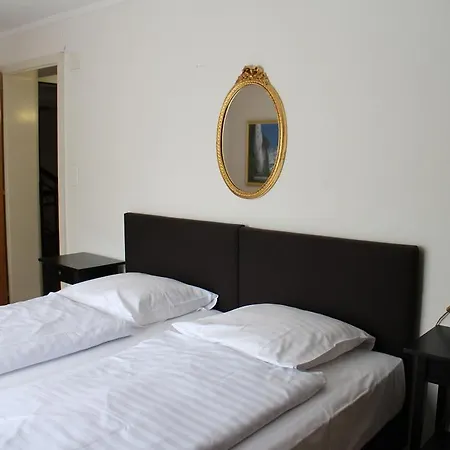Hotel Restaurant Jungfrau Hotel 3*