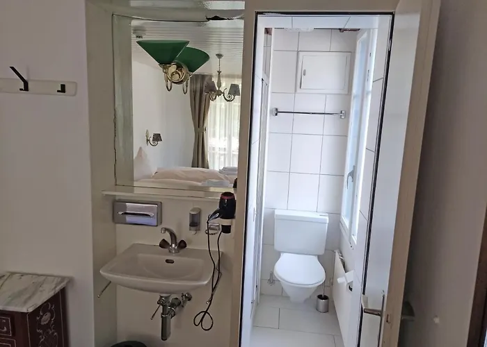 Restaurant Jungfrau Hotel 3*