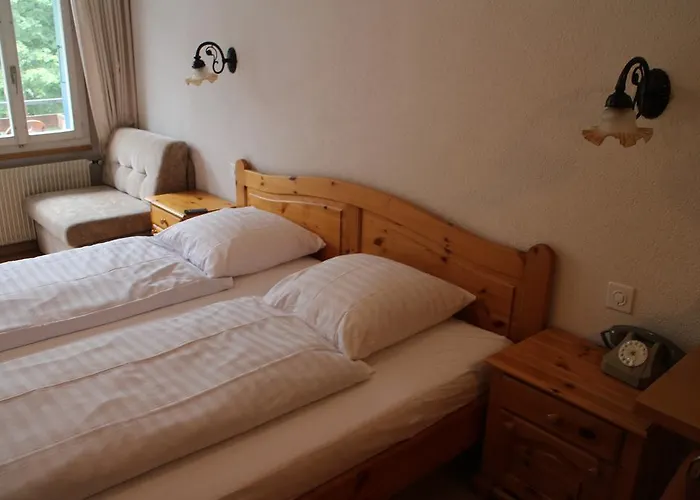 Restaurant Jungfrau 3*