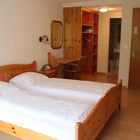 Hotel Restaurant Jungfrau 3*