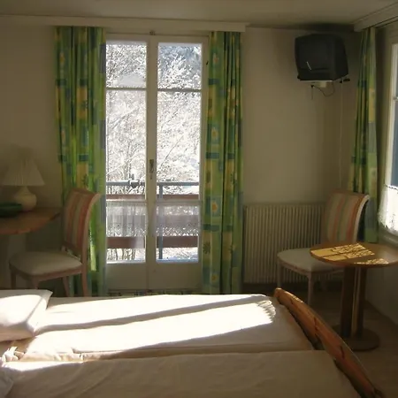 Hotel Restaurant Jungfrau 3*